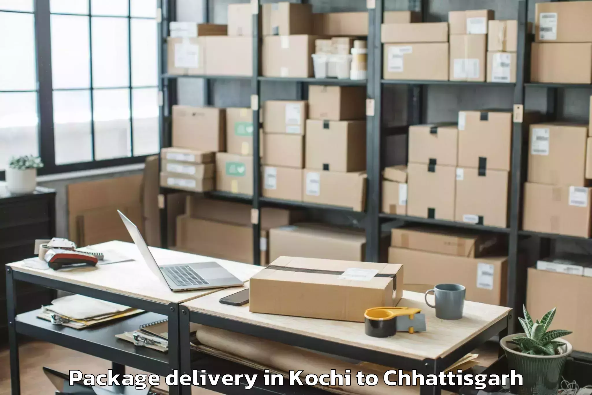 Quality Kochi to Kalinga University Raipur Package Delivery